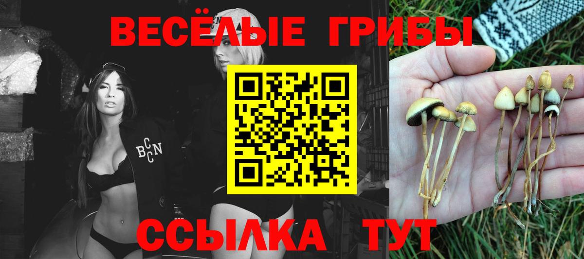 Галлюциногенные грибы GOLDEN TEACHER Лесосибирск